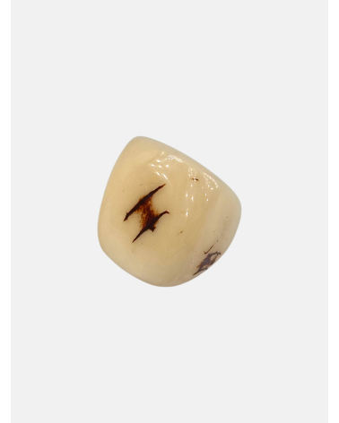 ANILLO SEMILLA JARINA N18