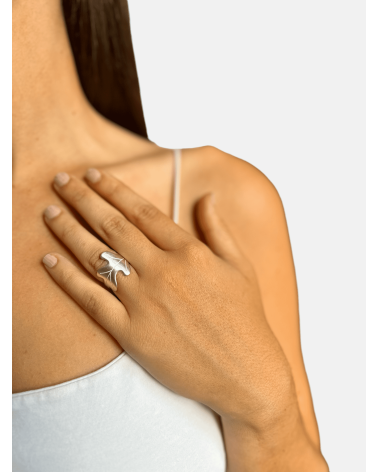 ANILLO CARBALLO