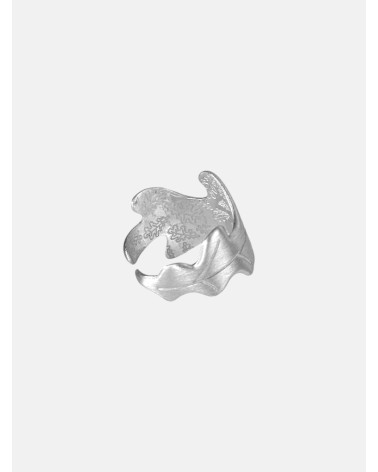 ANILLO CARBALLO