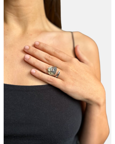 ANILLO ATLANTI