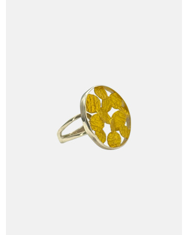 ANILLO SISMA