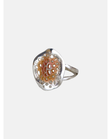ANILLO MICRO
