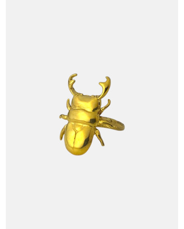 ANILLO VACALOURA