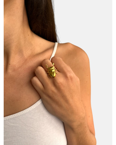 ANILLO VACALOURA