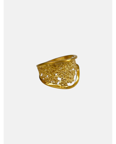 ANILLO HADA RAW
